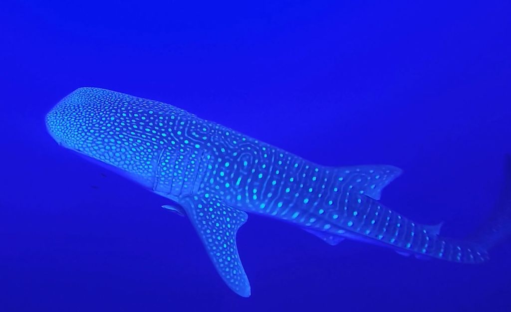 958911bb-87df-4152-8fe6-07bdcf5f0784