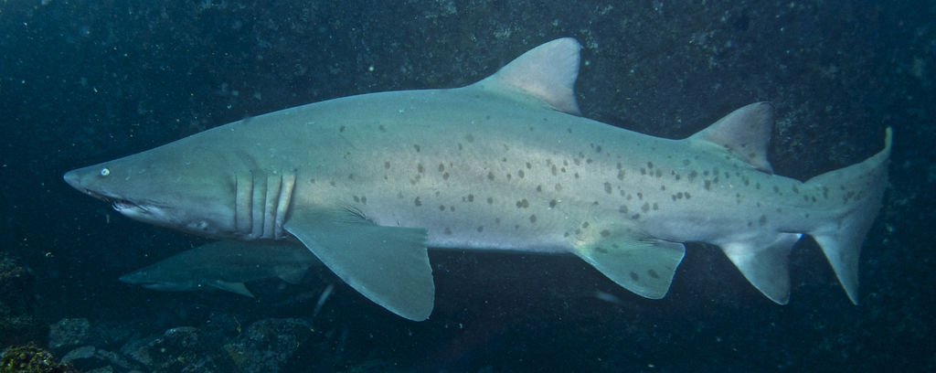 62d8a0a8-e374-4467-a889-9a4bea22cd45