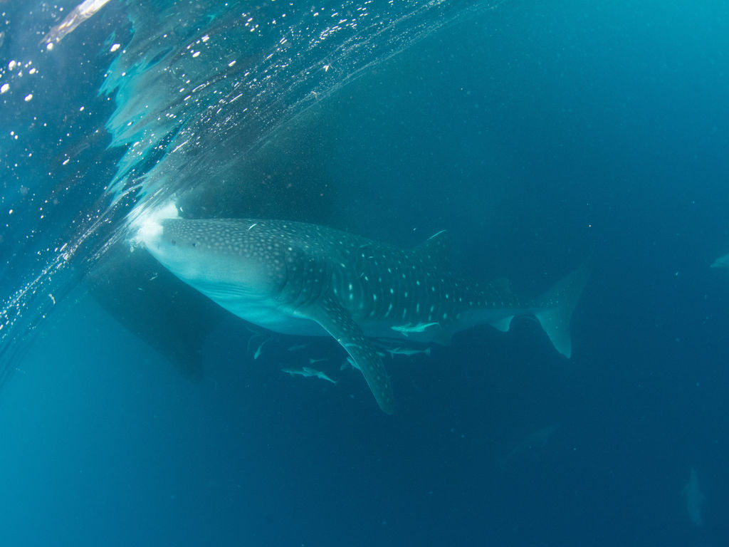 162405c2-f38a-4b49-b613-aa8de072bd49