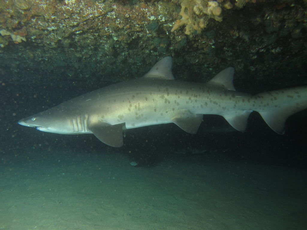 e13b171a-73cb-4d66-a19c-8e18717a27ed