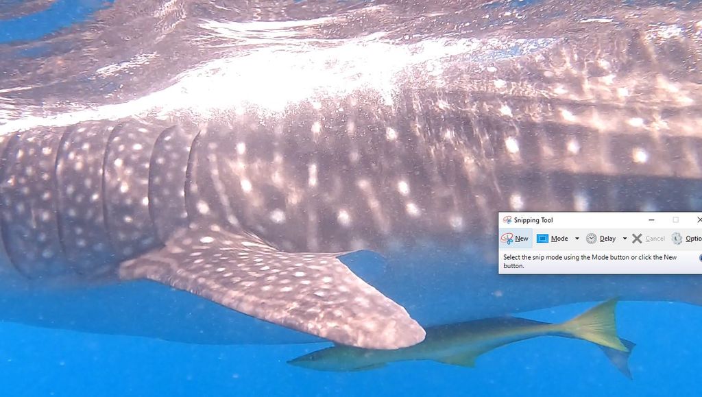 ac3221b1-5a70-41bd-912a-b0ac1846f522