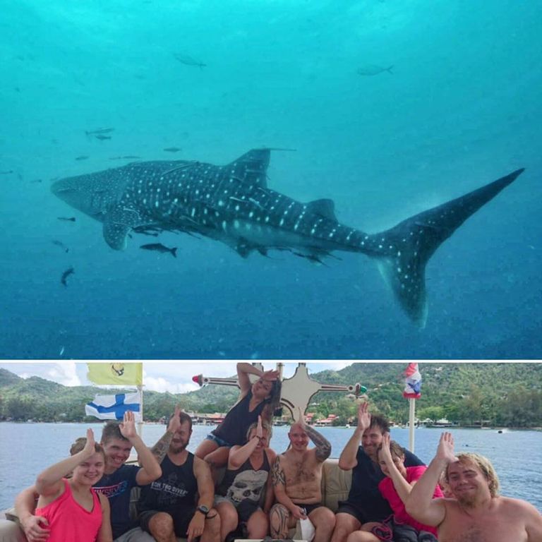 41c123f9-b59c-4184-9ce9-60ba0356a3e0