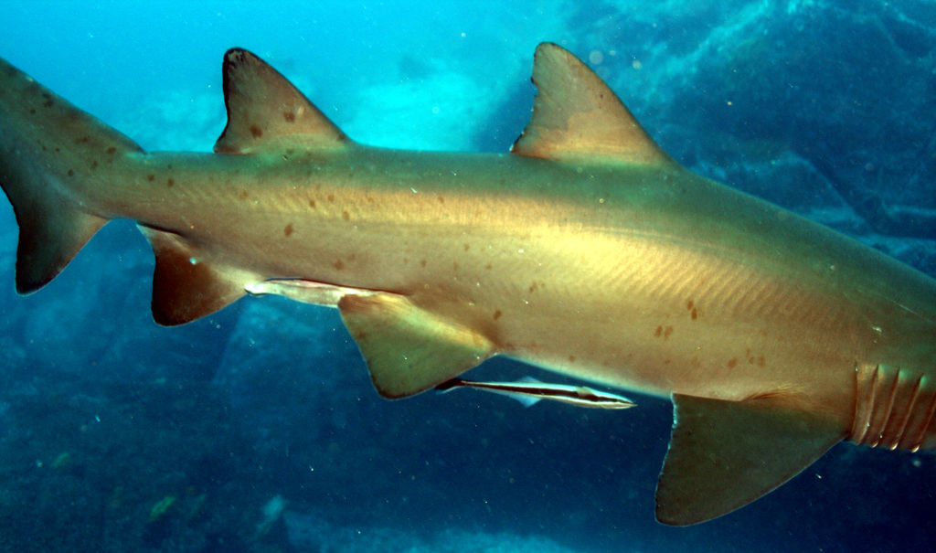 cd4cd5c9-cc66-4f2b-9b85-d888c34e8c58