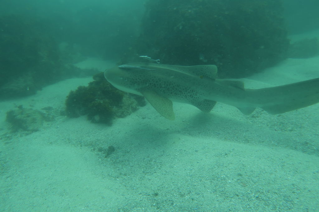 17befe67-f54f-4d05-9b7f-53289b57c187