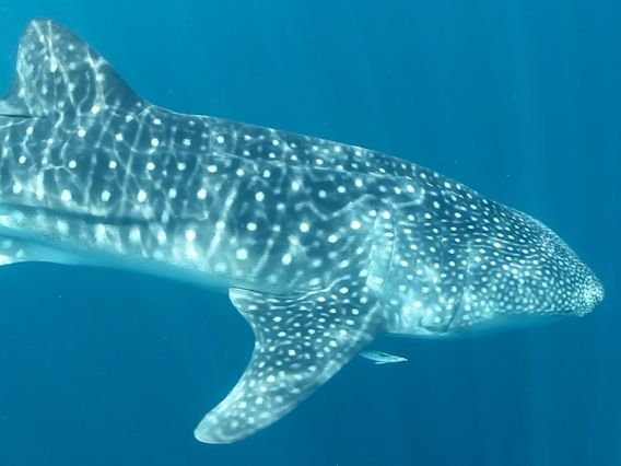 75678238-43bc-4f42-bc20-d9d7c20d6050