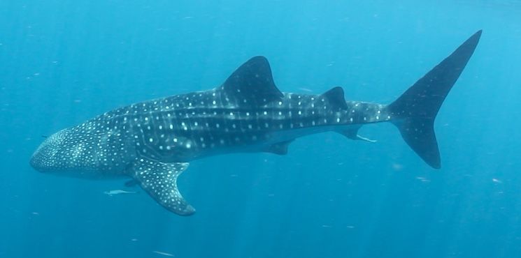 75678238-43bc-4f42-bc20-d9d7c20d6050