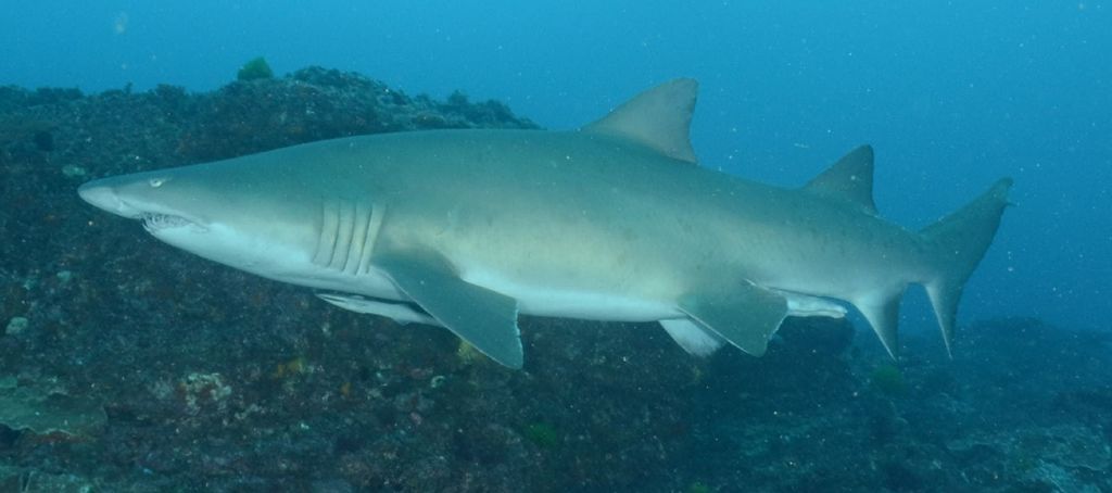 3e2e5943-6659-4357-9e8d-5d33416bdc7a