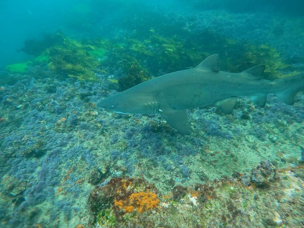 4e095a7c-b0c0-43db-b104-c727bae91348