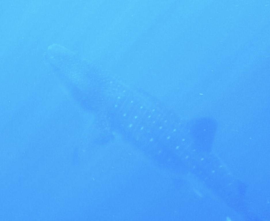 01c860b3-599d-4215-aa2d-61a740a39438