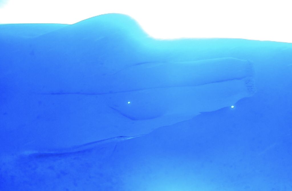 01c860b3-599d-4215-aa2d-61a740a39438