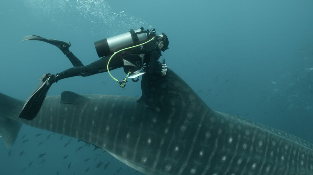 7cc07373-ec6c-485c-9fb3-0d6a89b2693a