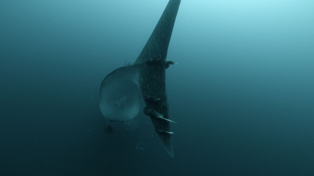 7cc07373-ec6c-485c-9fb3-0d6a89b2693a