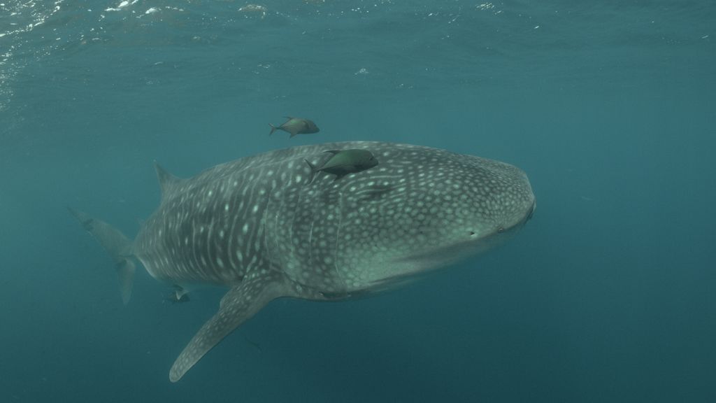 7cc07373-ec6c-485c-9fb3-0d6a89b2693a