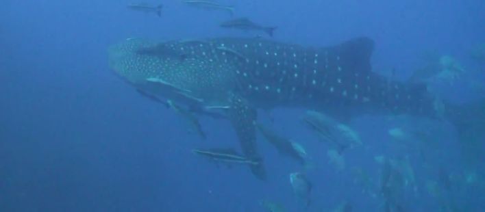 f349bd7a-688c-4608-a091-2a670aa7891c