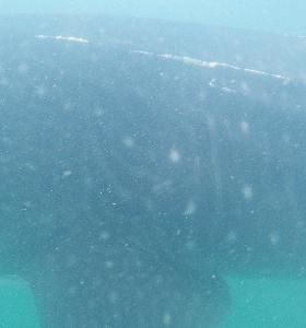 47796346-4216-444d-845a-50684b39d1f2