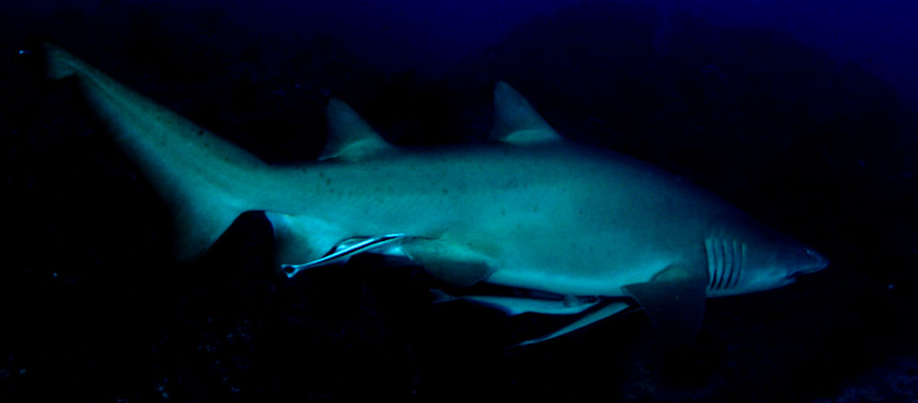 9da8535d-8478-451c-9e29-f6dba9f3fa6b