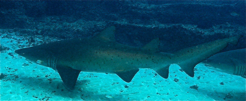 74801ab9-78a8-4170-8949-65eb6dfe3eca