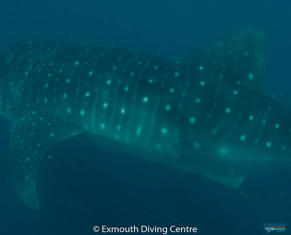 d3f716a5-cbc3-4a24-ad3a-16e1d3612628