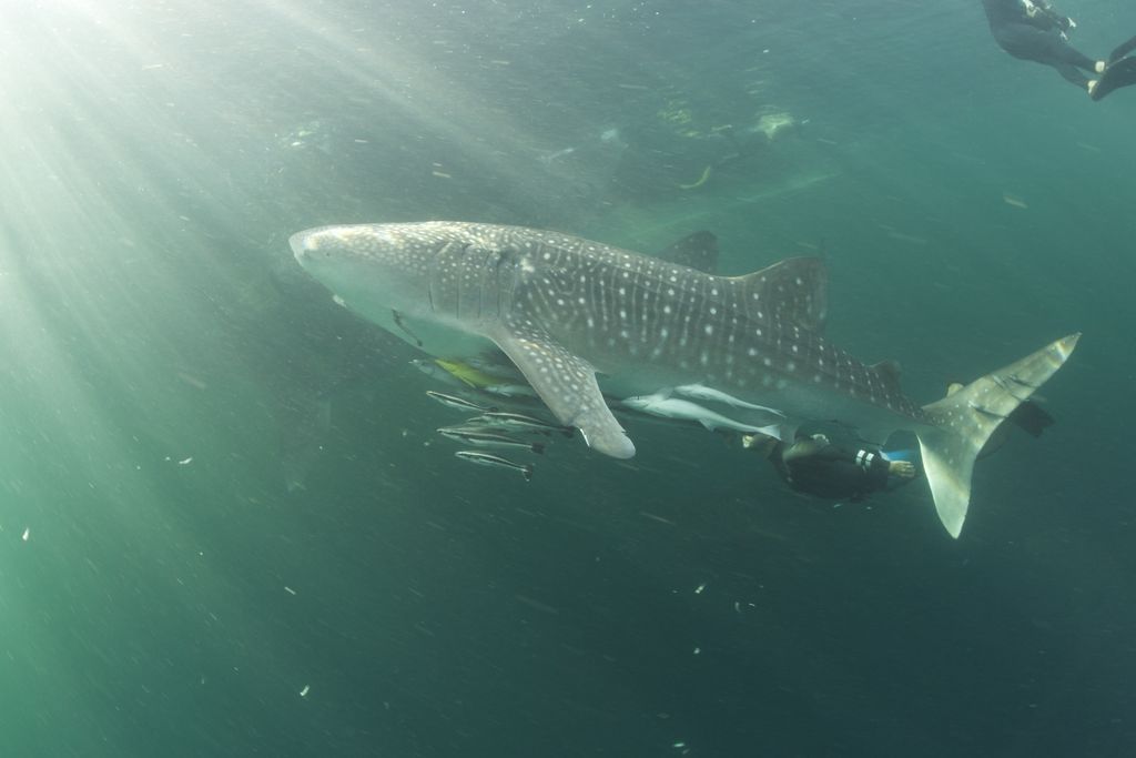 1eb3b899-49c7-4354-a446-af758b2e1cbb