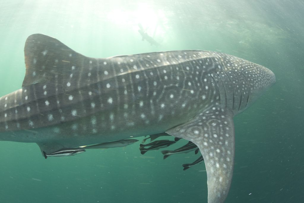 1eb3b899-49c7-4354-a446-af758b2e1cbb