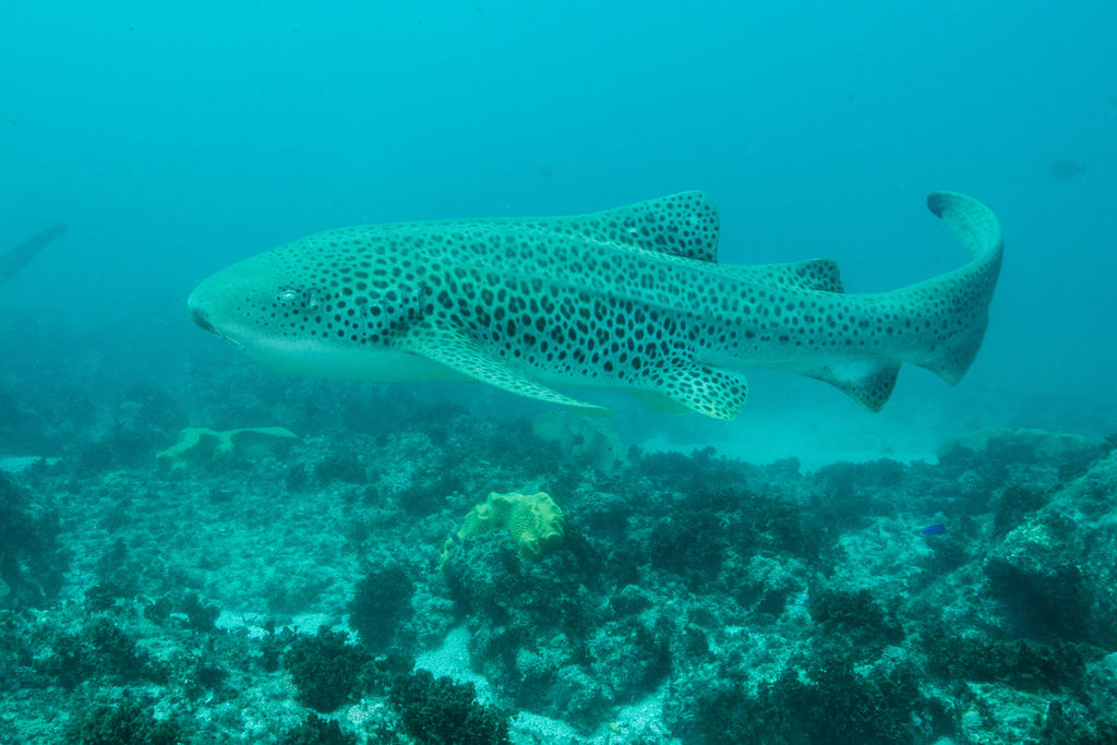 a94a7c22-4cea-4a0a-815b-ccfec7798497