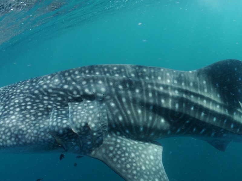 a4029d4f-2fb0-42a8-87fb-30678cc896ce