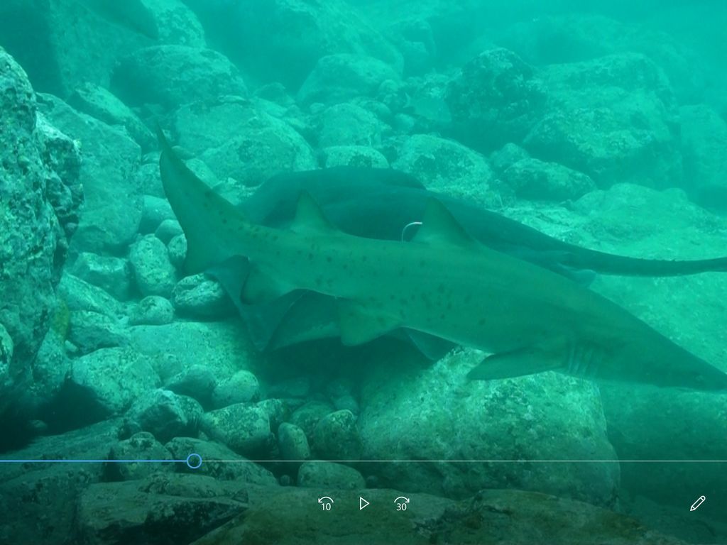 33aa0708-203e-40a0-9293-91a812ff8465