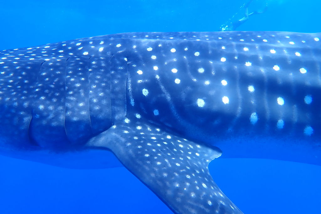 78f310be-7469-4cc7-8992-264209a1c7d8