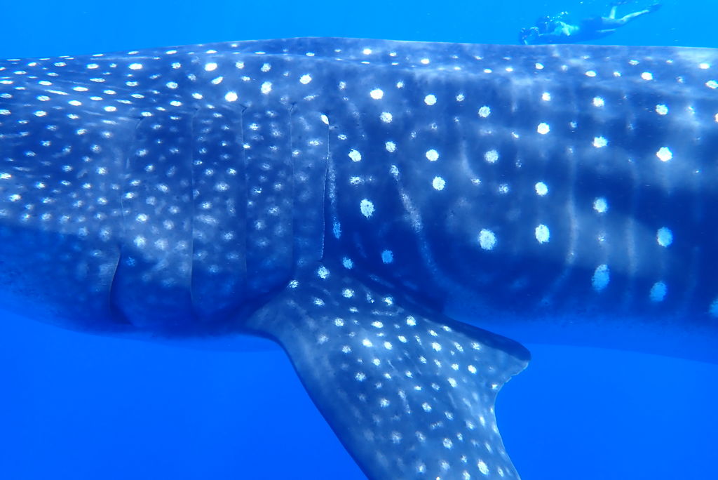 78f310be-7469-4cc7-8992-264209a1c7d8