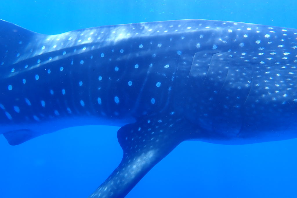 78f310be-7469-4cc7-8992-264209a1c7d8