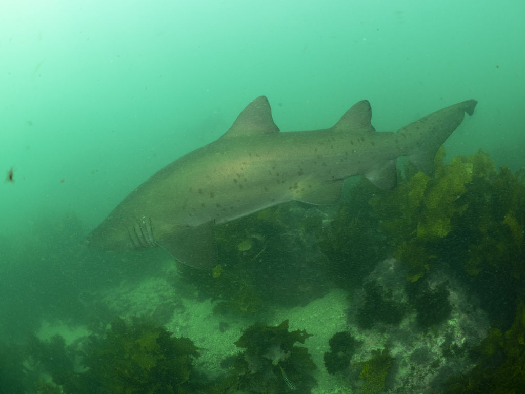 6402c64b-fd64-4145-b150-a9c43e9cc894