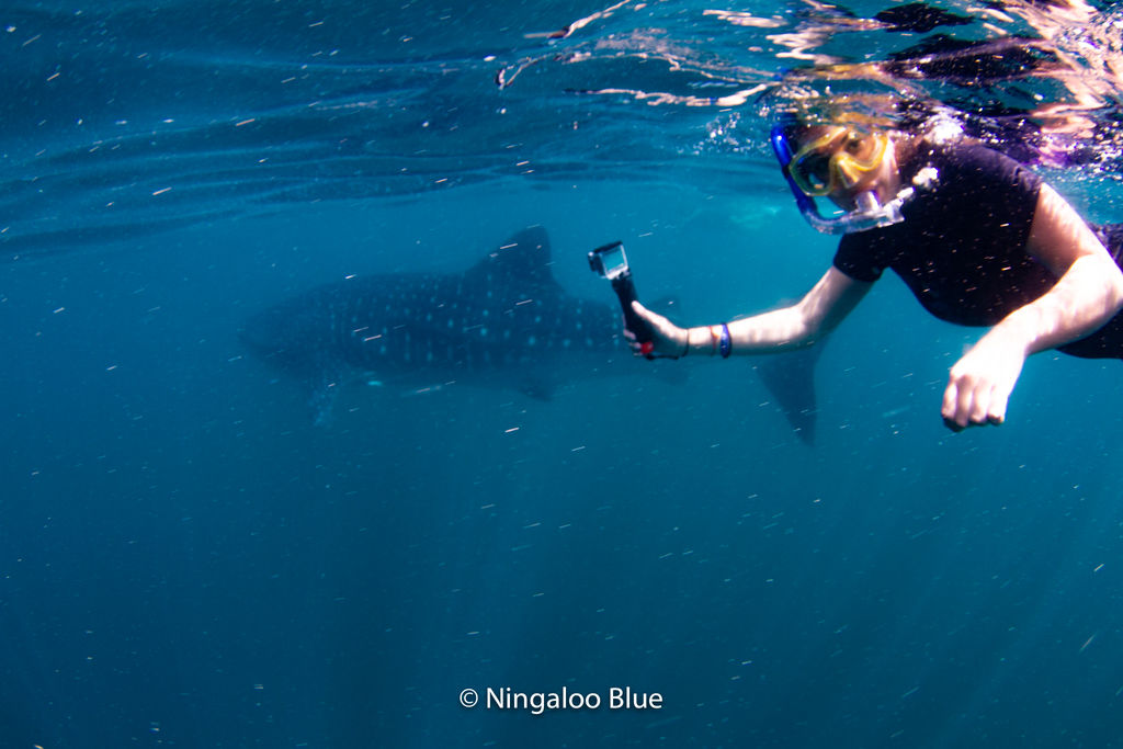 8937a203-48fa-488b-9666-bb1ceba21a6c