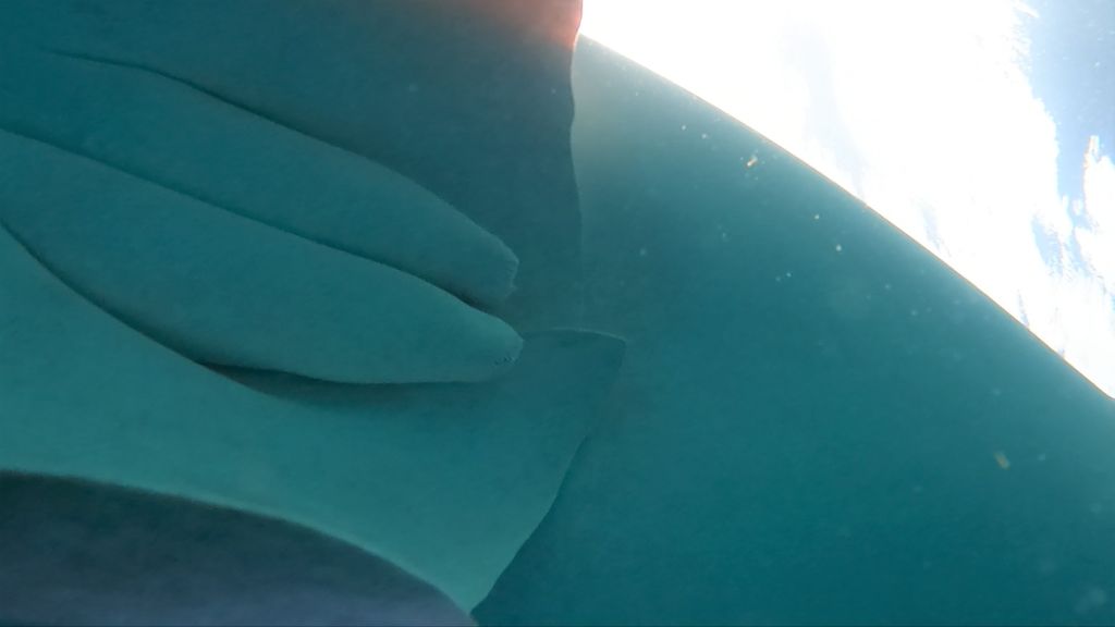 5193b3b8-4ea9-40a6-a4cf-cf2796a41e45