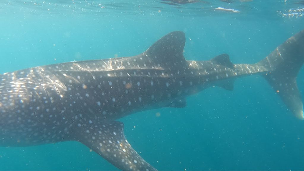 5193b3b8-4ea9-40a6-a4cf-cf2796a41e45