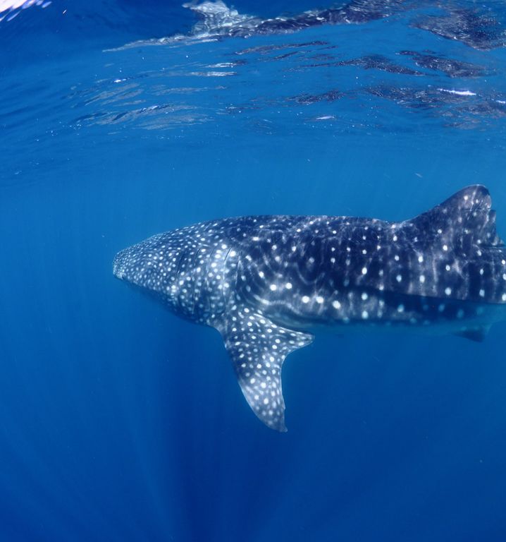 4481c4a8-c404-4578-a7ac-ff1d79fe9988