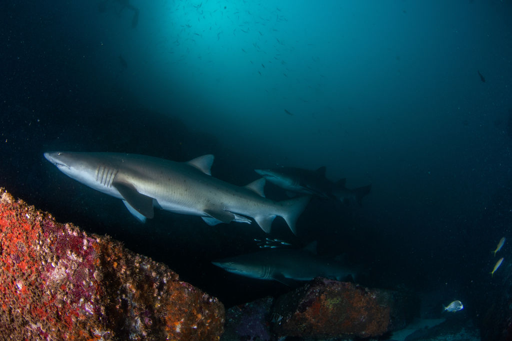 fcc56258-1506-4286-87a4-b334ea7b384f