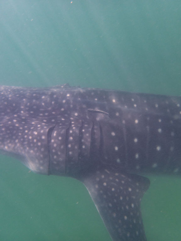 2b118670-05b2-41f2-9e5a-b09f3508ce72