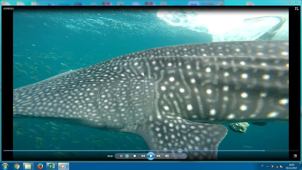 d57db851-dd25-4f3c-8755-f86574dd93cf