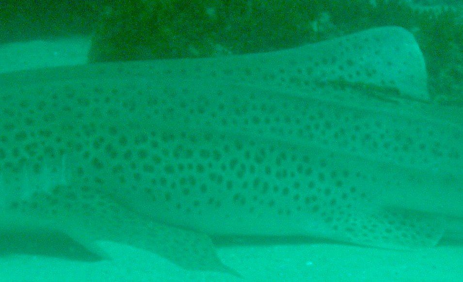 25424969-09d5-4551-b0d8-498ebb73a60d