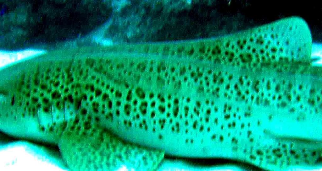 9e98b6ca-7819-42e0-9564-07277c74e794