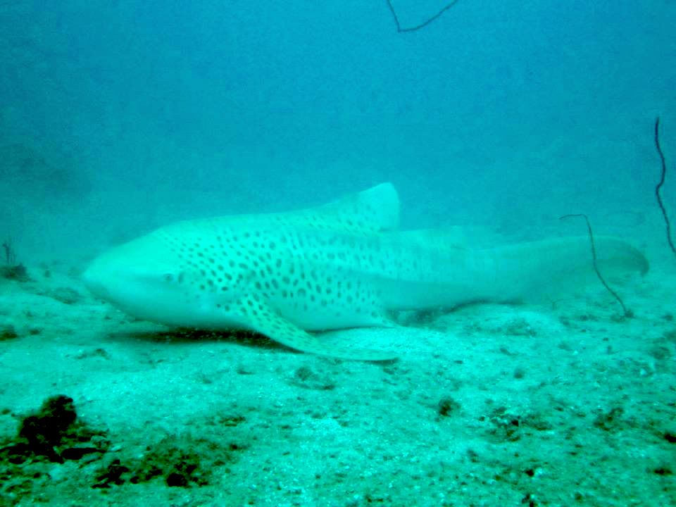 f0efb14e-3624-4edc-b44c-b9a154f0d7c6