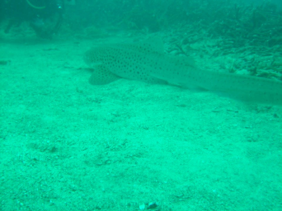 d9cd332e-3afa-4ea8-a0b6-a47b3492be2f