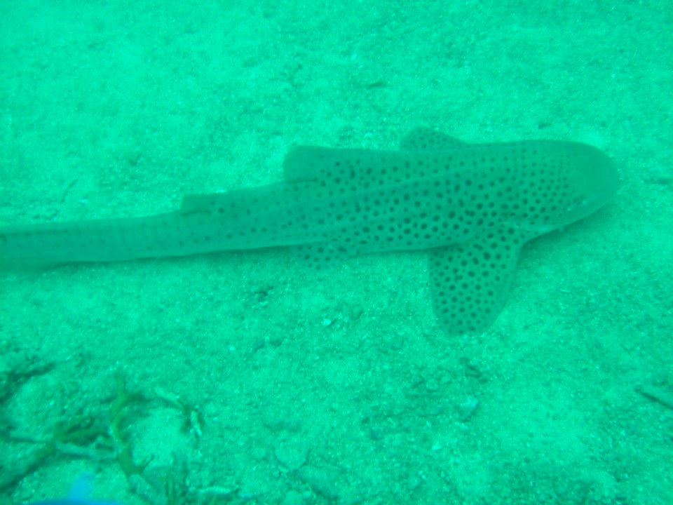 d9cd332e-3afa-4ea8-a0b6-a47b3492be2f