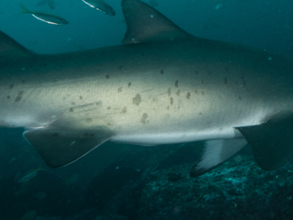 523c3c07-e175-4dda-9f89-1895ea83a2d6