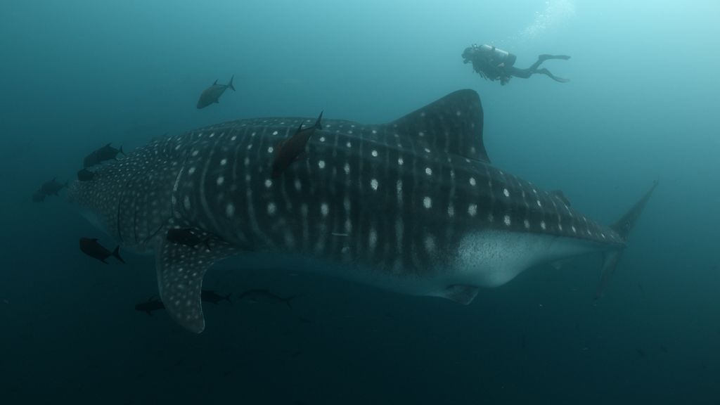 665d3315-b6ec-4c34-9a4c-b5eb8081563b