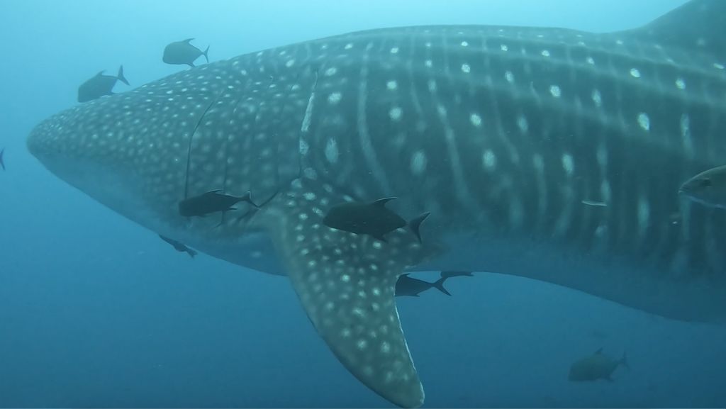 665d3315-b6ec-4c34-9a4c-b5eb8081563b