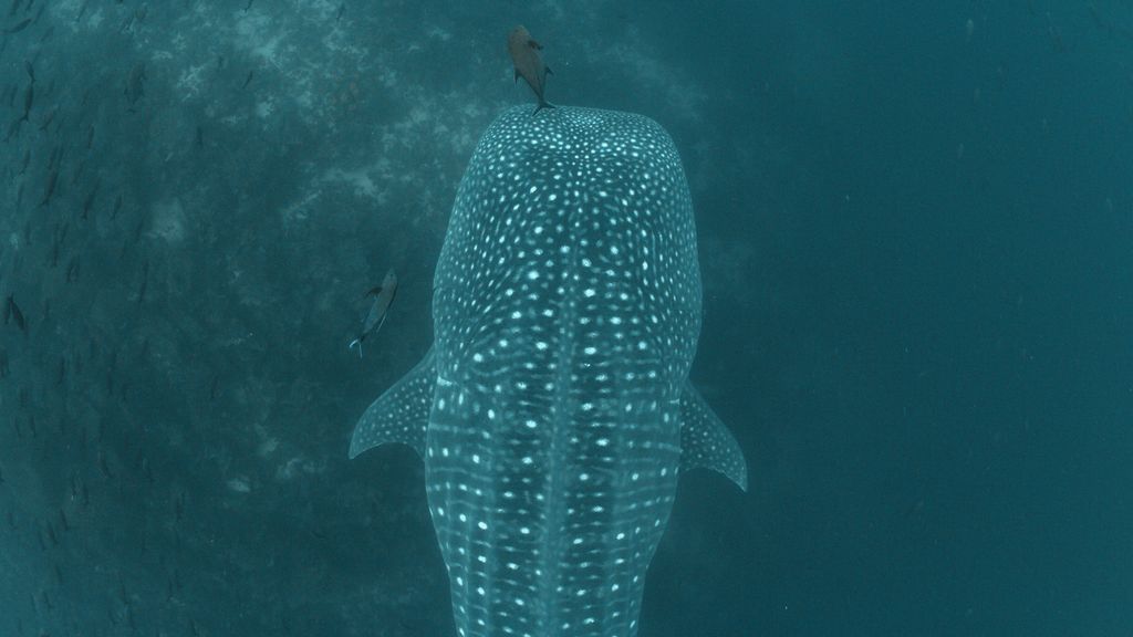 665d3315-b6ec-4c34-9a4c-b5eb8081563b