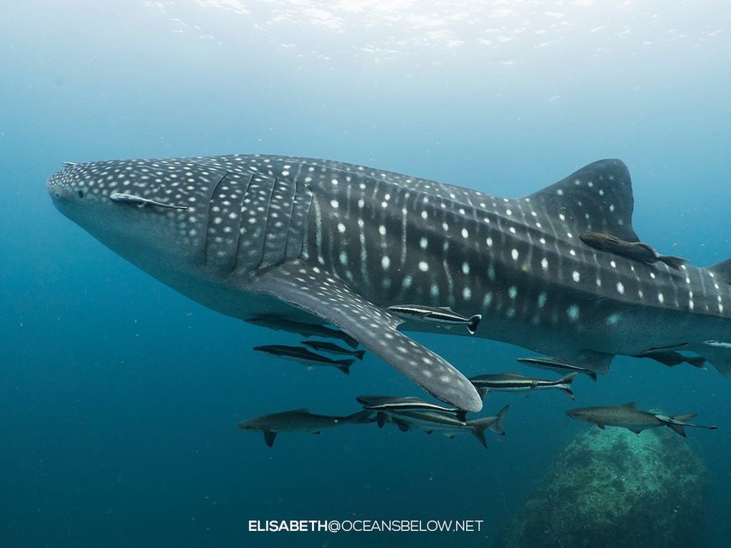 b7e7a8e8-e242-46c2-afa9-c434b7d0332b