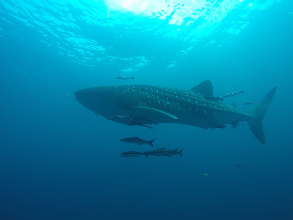 b7e7a8e8-e242-46c2-afa9-c434b7d0332b