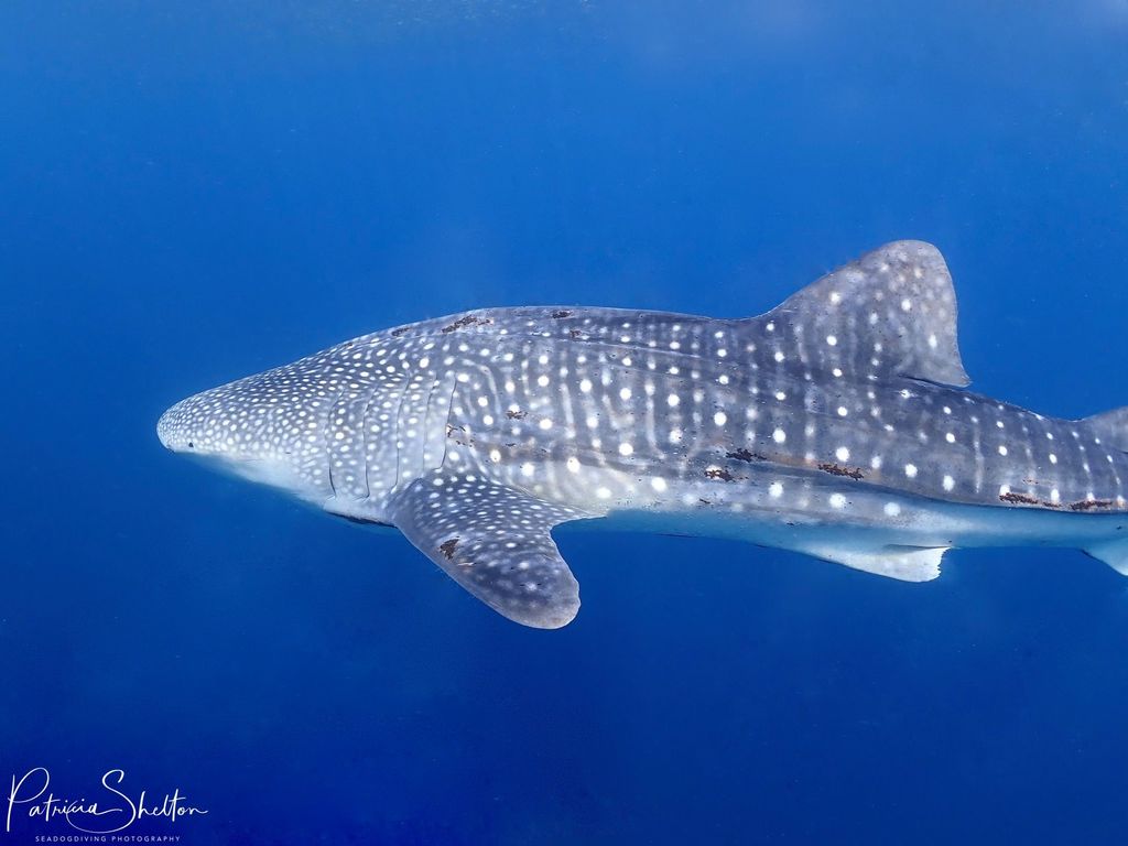 1d1b4ea4-5c0f-4347-991e-80c2e6fda370